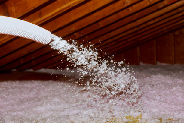 Best Blown-in Insulation in Campbell, FL