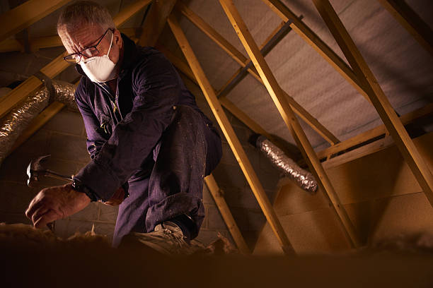 Best Residential Insulation in Campbell, FL