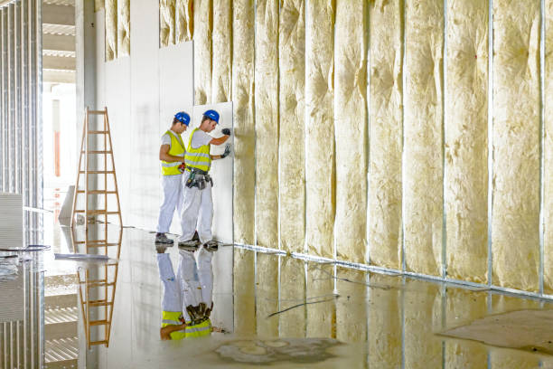 Best Fiberglass Insulation in Campbell, FL